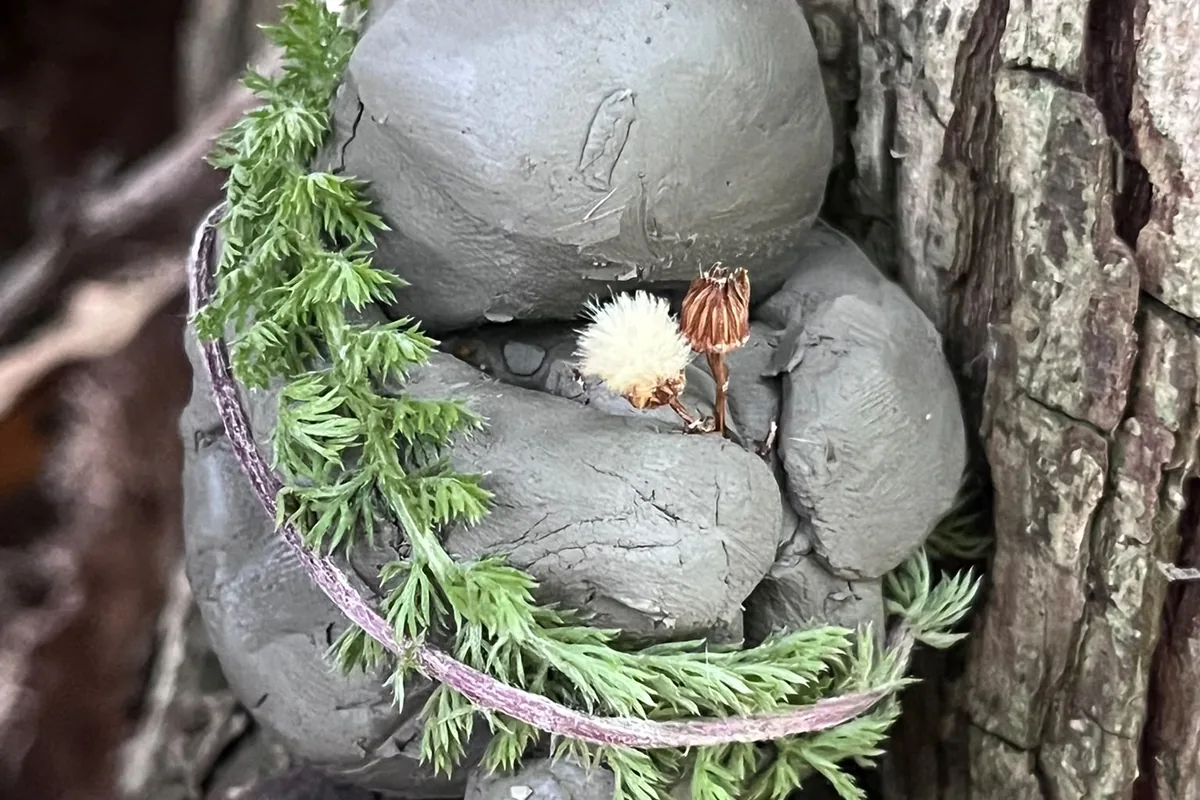A small clay figure set into the bark of a tree, ringed with moss and seed heads