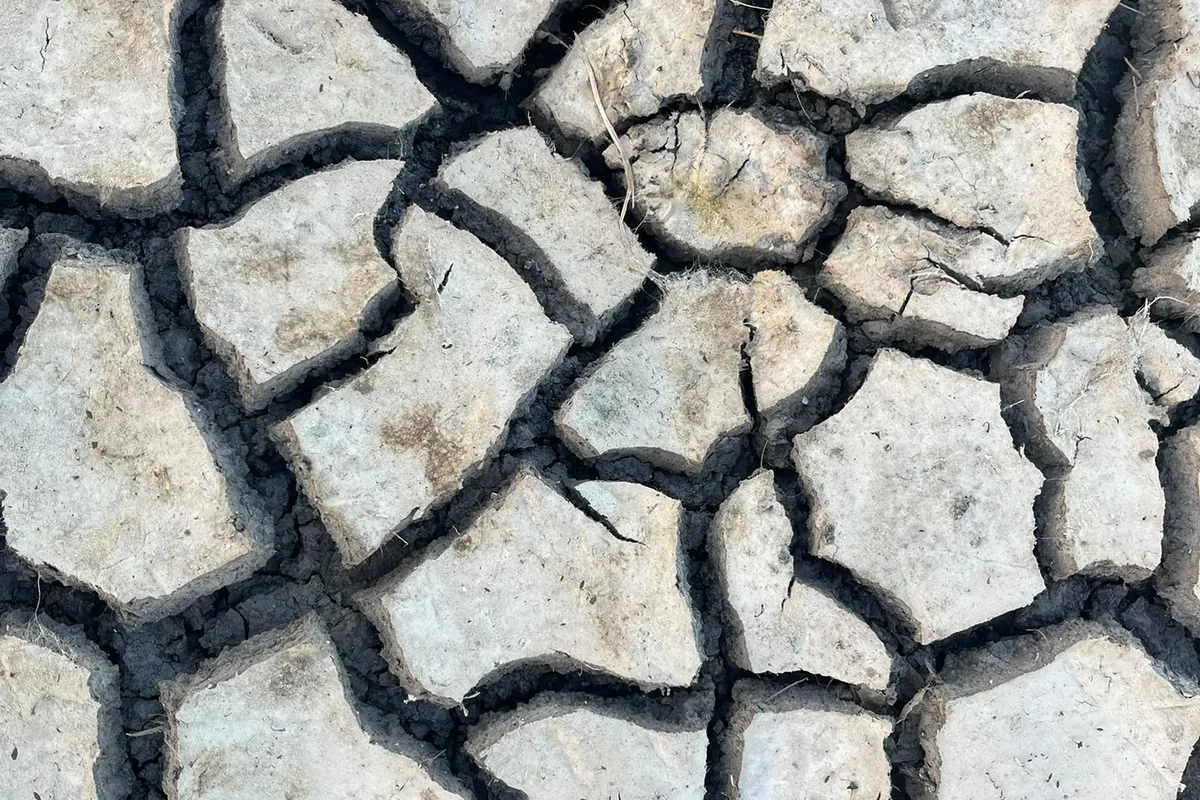 Dried earth cracked into plates, the fissures running deep between them